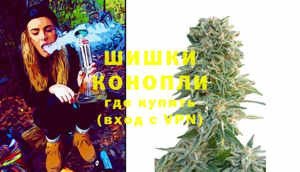 apvp Инсар