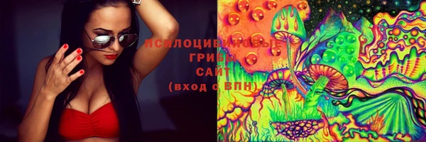 apvp Инсар