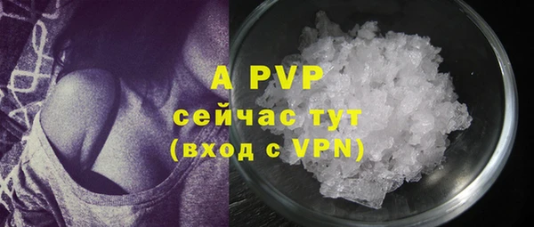 ПСИЛОЦИБИНОВЫЕ ГРИБЫ Иннополис